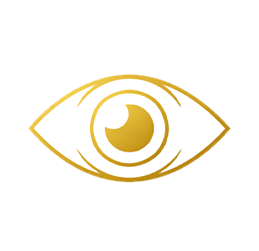 Vision icon